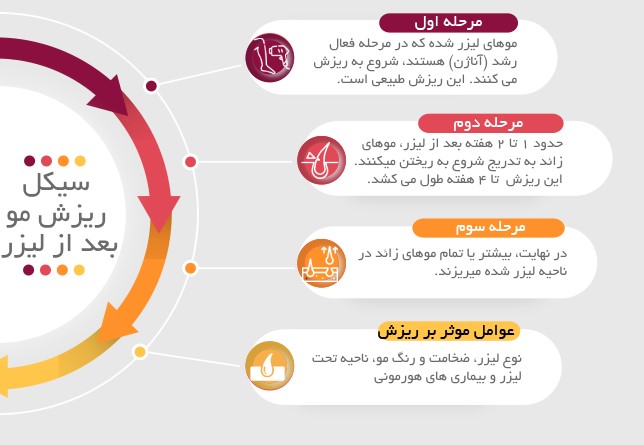 تایم لپس رشد مو